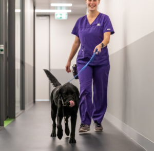 North Coast Veterinary Emergency & Critical Care