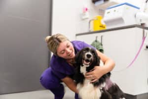 North Coast is a 24 hour vet clinic